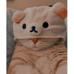 XᴏxsᴜɴɴʏxᴏX