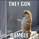 Cool doge lol