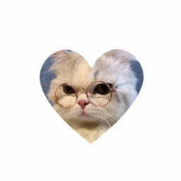 ♡ icon
