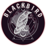 // : Blackbird Contingency