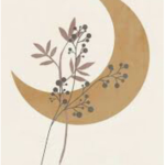 minimalist friends