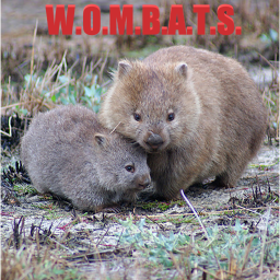 Wombats Combat! [BETA]