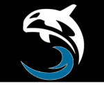 Orca Corporate Group Thumbnail