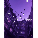 A E S T H E T I C <3 Homestore!