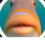 Big Brain Fish