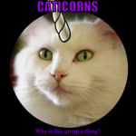 Caticorns