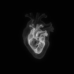 ∼ heart stabbers ∼