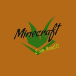 ~MineCraft~