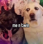 The one and only doge bois