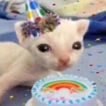 patrick birthday game