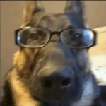 Lentes Gang