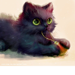wonder cat's