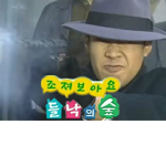 사