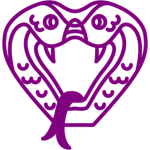 TVV | The Violet Vipers