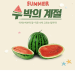 수 박 타 워