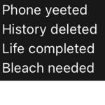 RebexLol22
