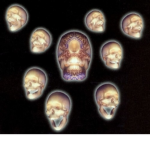 symbiot3