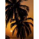 ParadiseIsland