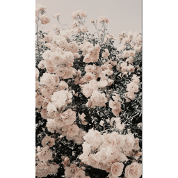 aesthetic💕