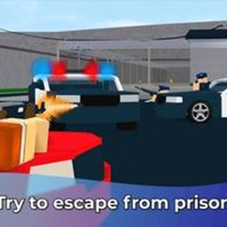 Prison Life