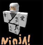 Ninja Monkeys!