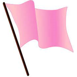 Capture The Flag!