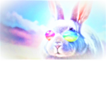 Gruppe Hase