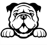 Bulldog Fan CIub