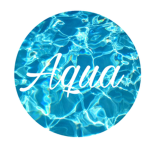 Aqua Swimming & Diving team