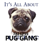 Pug Gang Official