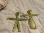 Watermelon_Aesthetics