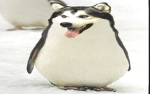 ima buhhhhhhhhhhhhhh
