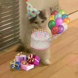 HAPPY BIRTHDAY