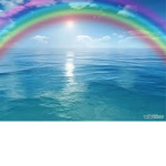 raimbow group