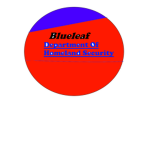 BlueLeaf Department Of Homeland Security