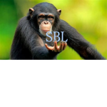 Monke Guild SBL