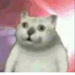 fatmopi