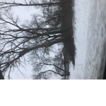 Snowxx