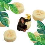 banana squad group!