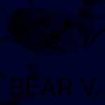BEAR V Group