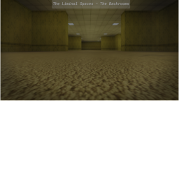 The Liminal Spaces - The Backrooms