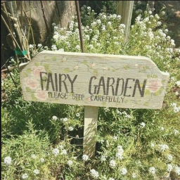 ⋆｡˚🌿•
