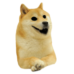 Doge F̖͇͍͎͚ͧ̔̎͝aͦͬmily