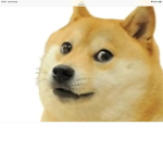 Dogy army group