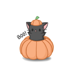 Pumpkins Boutique