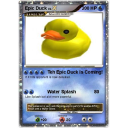 fight of bonus duck