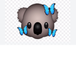koala bear