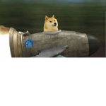 DOGE GANG!!!!