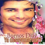 fan de chayanne