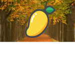 Mango Studio's!